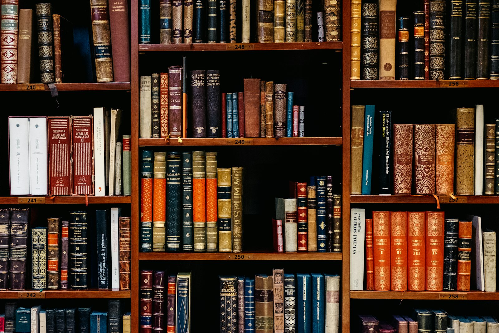 Bibliothèque de la Fondation ETVJ